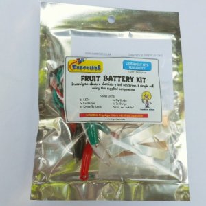 Fruit Battery Kit