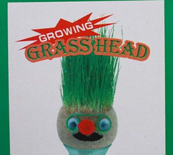 Growing Grass Head