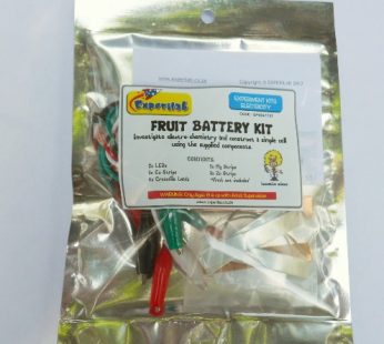 Fruit Battery Kit